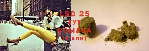 PSILOCYBIN Лихославль