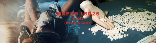 PSILOCYBIN Лихославль