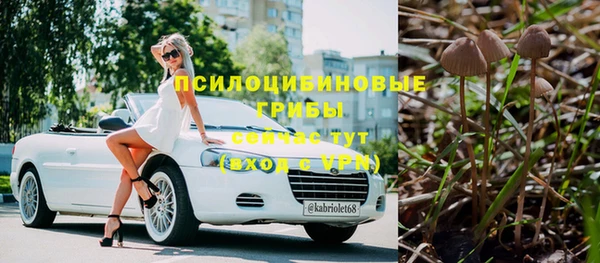 PSILOCYBIN Лихославль