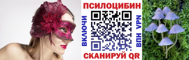 Купить  Жуковка  Псилоцибиновые грибы GOLDEN TEACHER 